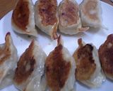 餃子(浜松風) ~皮作りから~作り方11写真