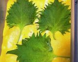 さわやかな大葉巻き玉子焼き作り方3写真