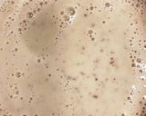 超簡単深煎り胡麻ドレと豆乳つゆでそうめん作り方3写真