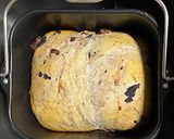 HB|ブルーベリーレーズン食パン作り方10写真