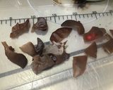 肉厚生キクラゲの食べるラー油和え作り方5写真