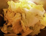 ポトフ的白菜とシャウエッセンコンソメ煮☆作り方1写真