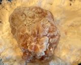 ピーマンの肉詰め作り方6写真