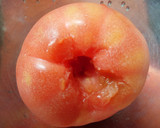 丸ごとトマトととうもろこしの炊き込みご飯作り方2写真