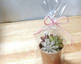 クッキーで多肉植物寄せ植え風作り方6写真