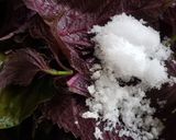 思っていたより簡単だった 梅干し 作り方8写真
