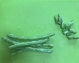 いんげんのおひたし作り方1写真
