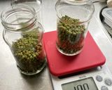【実山椒の塩漬け、醤油漬け、オイル漬け】作り方9写真
