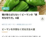 ハート♥ピーマンの切り方(キャラ弁にも)作り方3写真