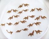 バレンタインに☆小悪魔チョコシュー♪作り方5写真