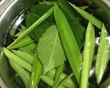 ◤電鍋レシピ◢　小学校宿泊訓練の野草茶作り方2写真