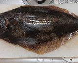 ヒラメのお刺身作り方1写真