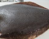 ヒラメのお刺身作り方2写真