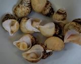 バイ貝の煮付け作り方1写真