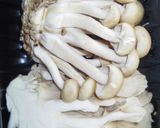 元ハンバーグ職人の鶏もも肉のクリーム煮!作り方4写真