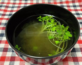 とろろ昆布とカイワレ大根のお吸い物作り方4写真