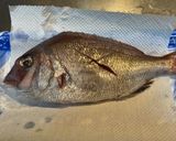 鯛めし作り方7写真