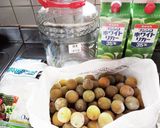2022梅酒作り方1写真
