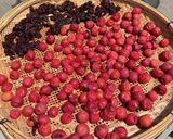 意外と簡単ジップロックで梅干し作り方6写真