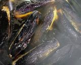 義母直伝　なすのはさみ揚げ煮作り方11写真