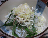 釜揚げしらすとみょうがでさっぱりごはん作り方5写真