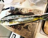 【お魚レシピ】シイラのフライ作り方4写真