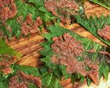 梅しそササミ焼き作り方3写真