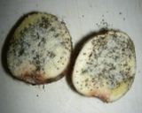 里芋のオーブン焼き作り方2写真