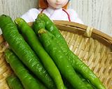 リカちゃん♡ししとうと小女子炊いたん作り方2写真