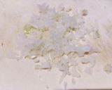 子ども向け簡単♪ミートソースのうどん作り方2写真