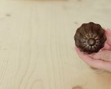 失敗なしもっちりカヌレの作り方作り方13写真