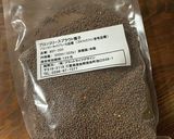 瓶でブロッコリースプラウト栽培作り方8写真