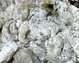 油で揚げない ぷりぷり海老チリ作り方3写真