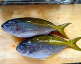 ウメイロの塩焼き作り方1写真
