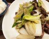 炭火焼き地鶏と白菜とネギの炒め作り方5写真