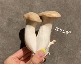 エリンギとほたてとトマトのスープ作り方16写真