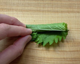 新しょうがのすっきり混ぜごはん作り方8写真