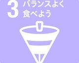 なすと豚肉のバランス丼作り方8写真