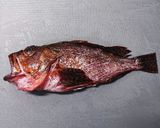 カサゴの煮付け作り方4写真