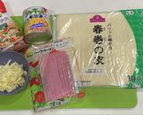 春巻きの皮で簡単美味しいピザスティック作り方1写真