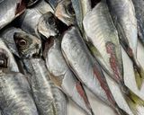 小アジの煮物作り方1写真
