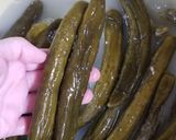 きゅうりの押し漬け作り方7写真