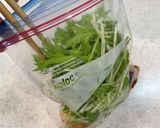 夏っぽい！タコと水菜のサラダ作り方4写真