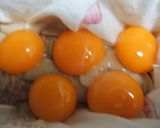 卵の味噌漬け作り方2写真