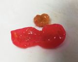 かわいい金魚ゼリー作り方4写真