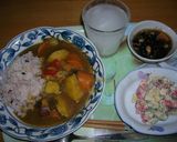 「デストロイヤー」と鶏胸肉のカレー作り方7写真