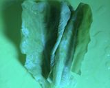 レディーに捧げる夏野菜サラダ冷麺作り方22写真