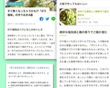 冷めても美味しい簡単のり塩大根炒め作り方10写真