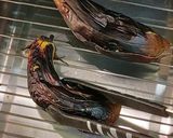 簡単☆焼きなす作り方3写真