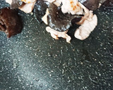 豚肉と生きくらげの卵炒め。作り方5写真